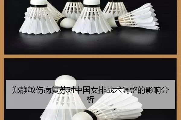郑静敏伤病复苏对中国女排战术调整的影响分析